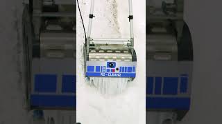 This Rug Should Have Come With A HEALTH WARNING! What A Mess! Satisfying ASMR Carpet Cleaning.