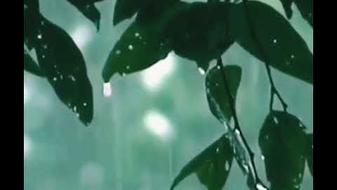 صلوا على خير الأنام 🌹_ Shollu Ala Khoiril Anam