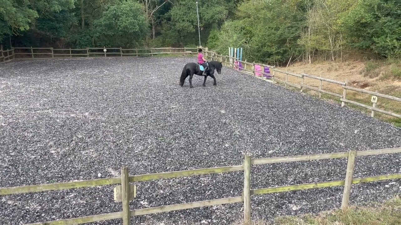 Julie Calvert and lownthwaite Heresay eriders BRC league prelim2e for Gipping riding society August