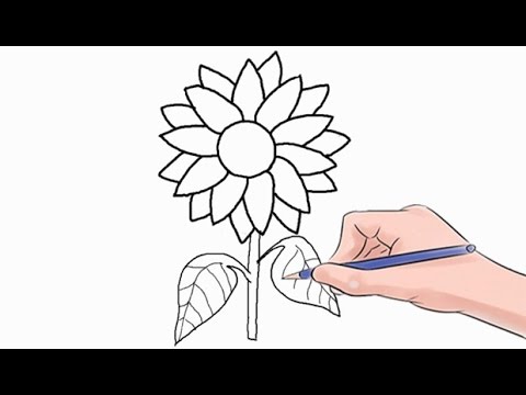 How to Draw a Sunflower Easy Step by Step - YouTube