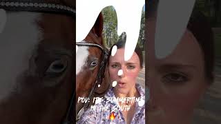This heat dome is something else 🔥 #horse #equestrianlife #equestrian #horses #equine #summer
