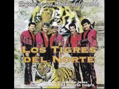 los tigres del norte consejos de un padre