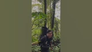 PUNCAK PESAWARAN  1680mdl #pendakiindonesia #pesawaranlampung #pendakilampung #puncakpesawaran