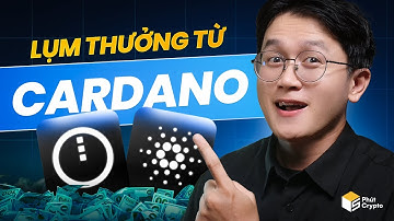 Airdrop miễn phí từ nhà Cardano - Kèo xịn, làm đơn giản, mỗi ngày lụm 40 token