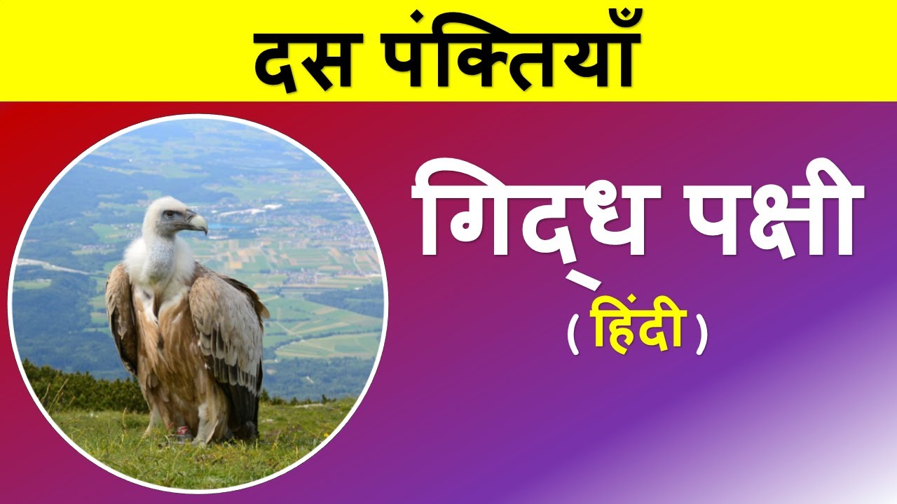 essay on vulture bird in hindi language