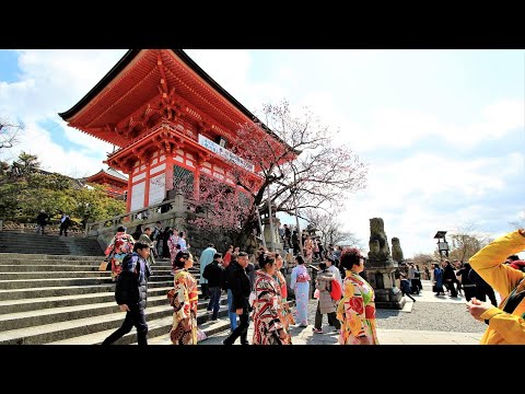 世界遺產米其林三星景點；京都清水寺.金閣寺.嵐山