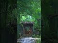 Soft Rain Sounds #RainSounds #HeavyRain #Thunderstorm #SleepSounds #Relaxation #NatureASMR
