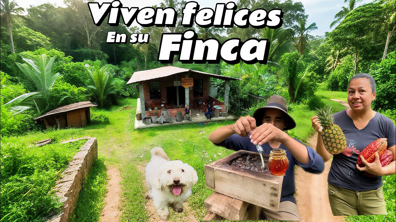VIVEN felices en su FINCA en la SELVA protegen ABEJAS meliponas 
