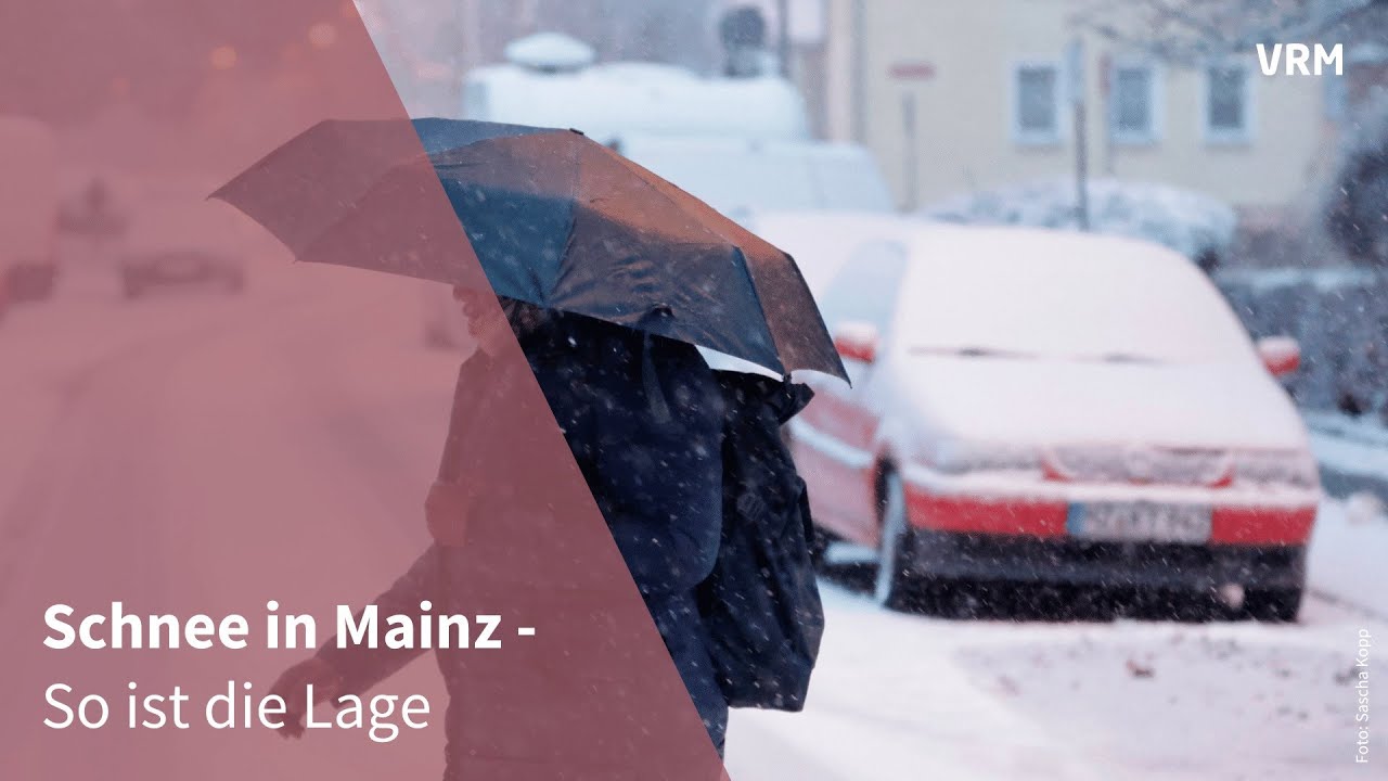 Schne Zu Verschenken In Mainz Fotos