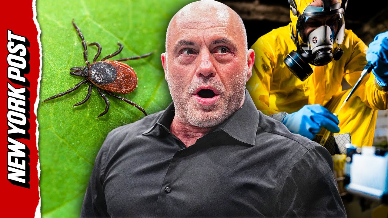 Was Lyme disease manufactured in a lab as a bioweapon? Joe Rogan thinks so