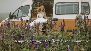Vanlife and Foraging in the Alpine Wildflower Meadows 🌿Ep.3