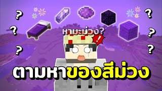 มายคราฟสุ่มตามหา 