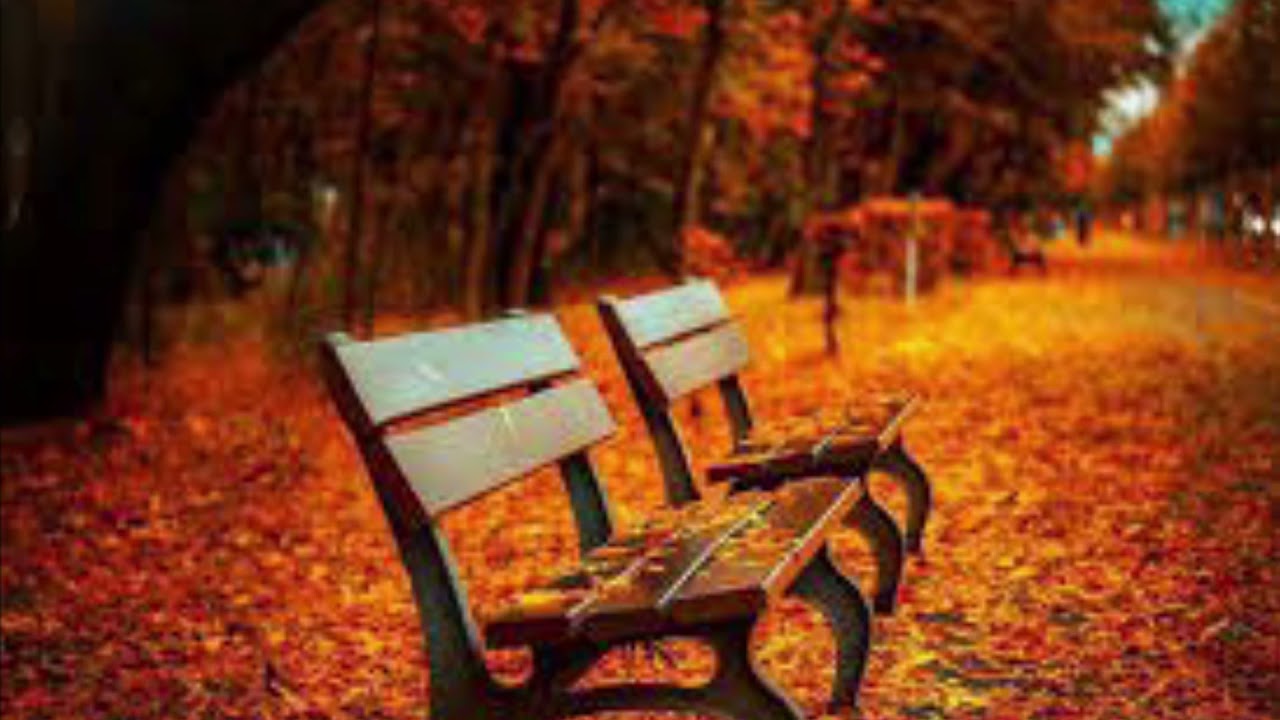 Muggles vs Potterheads