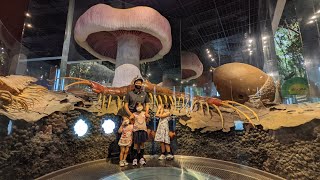 【3歳3ヶ月】ミュージアムパーク茨城県自然博物館に行ってきた☆