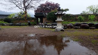 Rainy Day in a  Korean  village#Healing ASMR#Relaxing Rain Sound#White Noise#Rain Sound for Sleep.