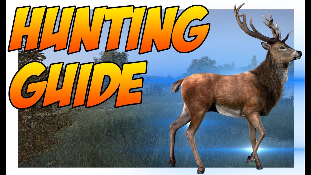 DayZ Standalone Hunting How To Find / Skin Animals YouTube