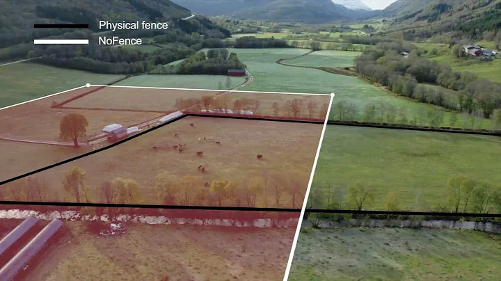 Nofence learning process and training pasture