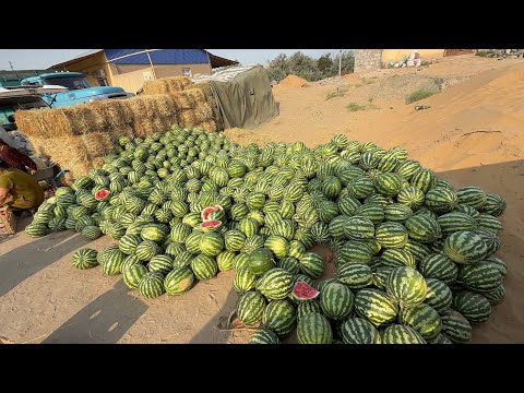 ТУРТКУЛ ТУМАНИ БОЗОРДАГИ