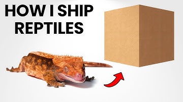How to Ship Reptiles