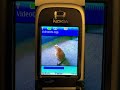 Nokia 6131 Cat is a Star #2007 #2006 #2005 #millennial #cat #viral #stardom #celebrity #technology
