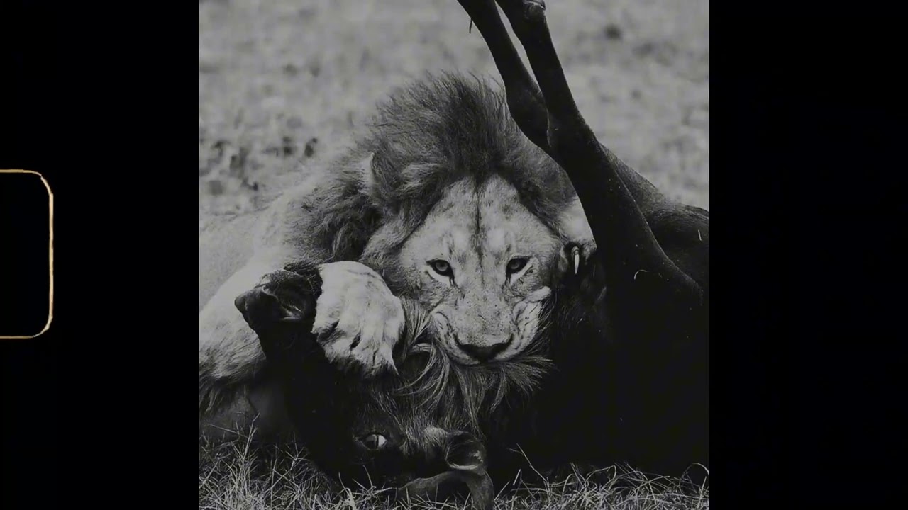 Dark Boom Bap Type Beat - "EMPIRE"