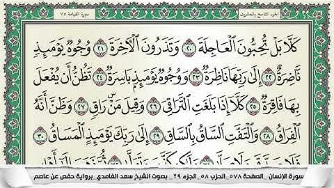 سورة القيامة مكتوبة - سعد الغامدي | Surat Al-Qiyamah - Saad Al Ghamdi