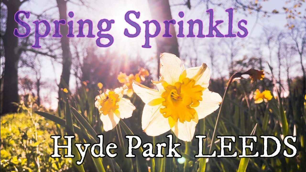 Hyde Park leeds, United Kingdom 🇬🇧