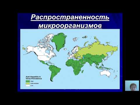 Общая микробиология (Бадлеева М.В.) - 1 лекция