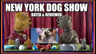 NEW YORK DOG SHOW REVIEWED BY DOGS ( LUDES AND BENZO)