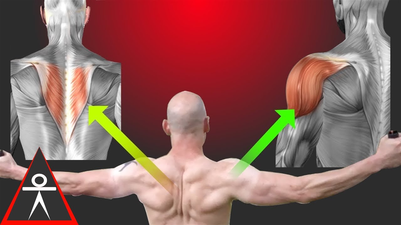 calisthenics workout program for beginners How to Work Your Shoulders or Traps with Suspension Strap Flys