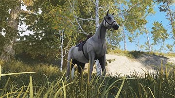 Rust 7/4/2019 Update Summary