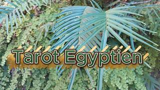 Egyptian Tarot: Evolution + Heavy Warning!