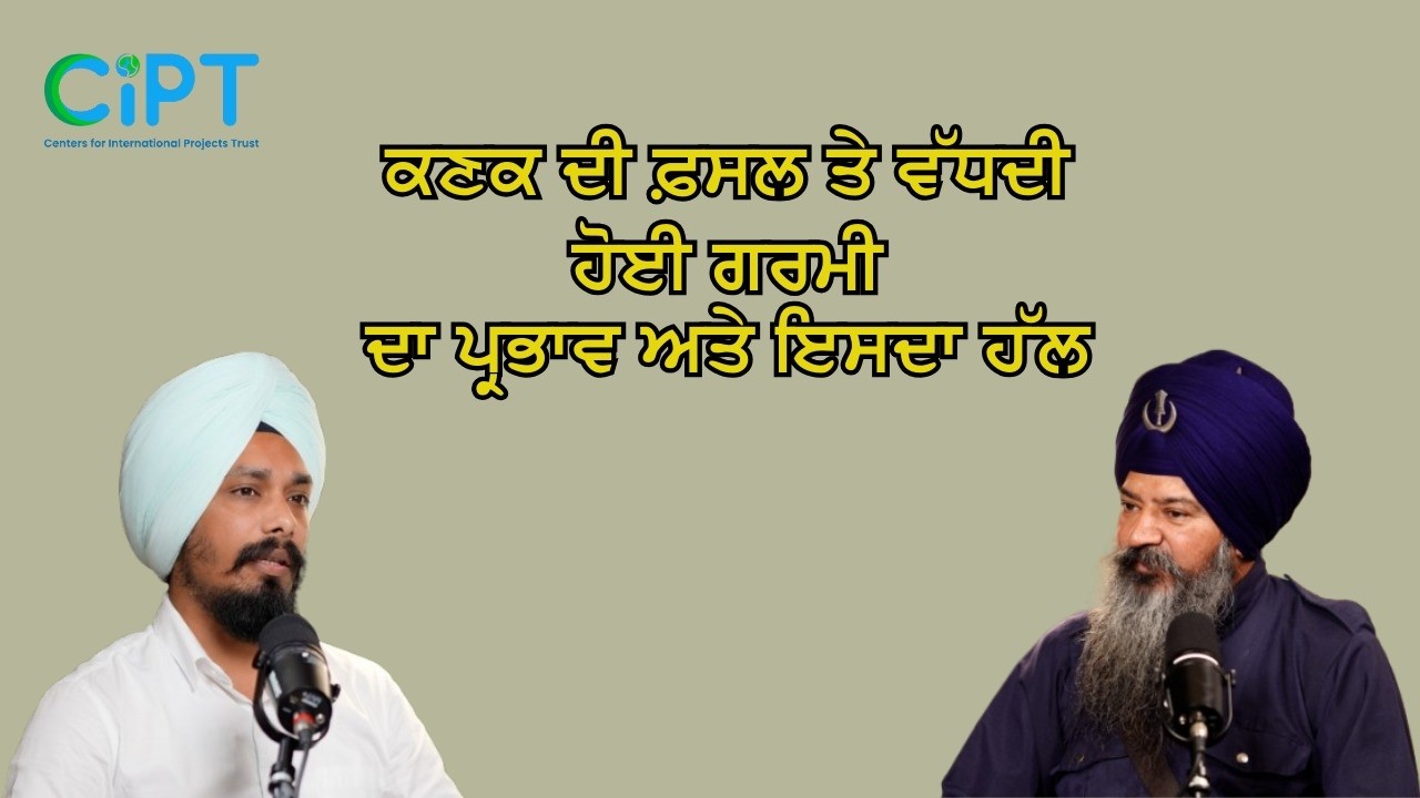 ਕਣਕ ਦੀ ਫਸਲ ਤੇ ਵੱਧਦੀ ਹੋਈ ਗਰਮੀ ਦਾ ਪ੍ਰਭਾਵ ਅਤੇ ਇਸਦਾ ਹੱਲ