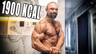 Download Lagu Podcast 210 - Kale ja Valde // Valden kisadieetti MP3 Download Lagu Podcast 210 - Kale ja Valde // Valden kisadieetti MP3