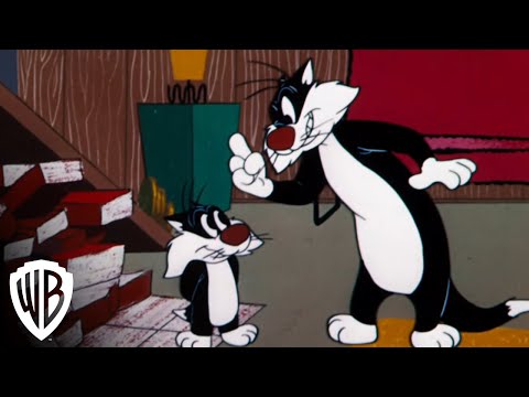 Looney Tunes Super Stars: Sylvester & Hippety Hopper - "Too Hop To Handle" - Wrestling