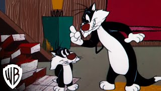Looney Tunes Super Stars Sylvester & Hippety Hopper Wrestling Match Warner Bros. Entertainment