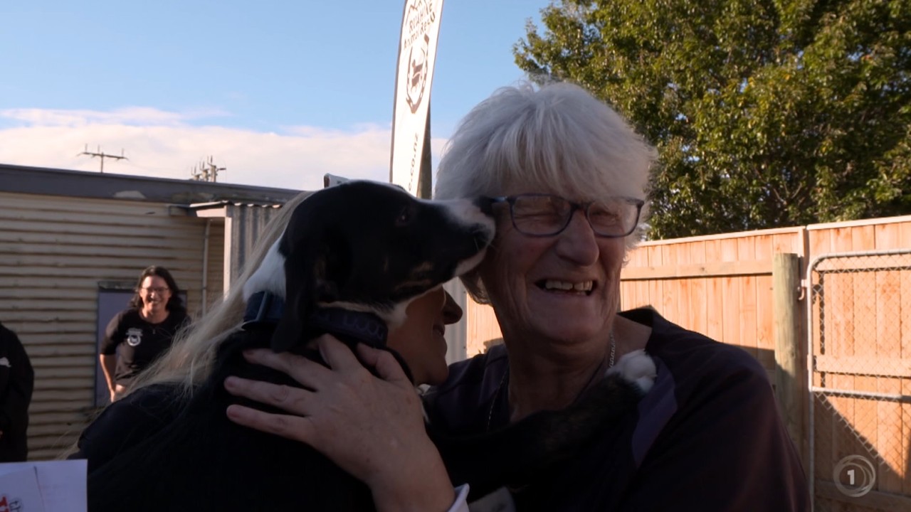 ASB Good as Gold: Gaye Campbell