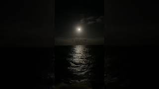 مشهد فيديو للتصميم بحر ليل امواج🌊🌉🌑
