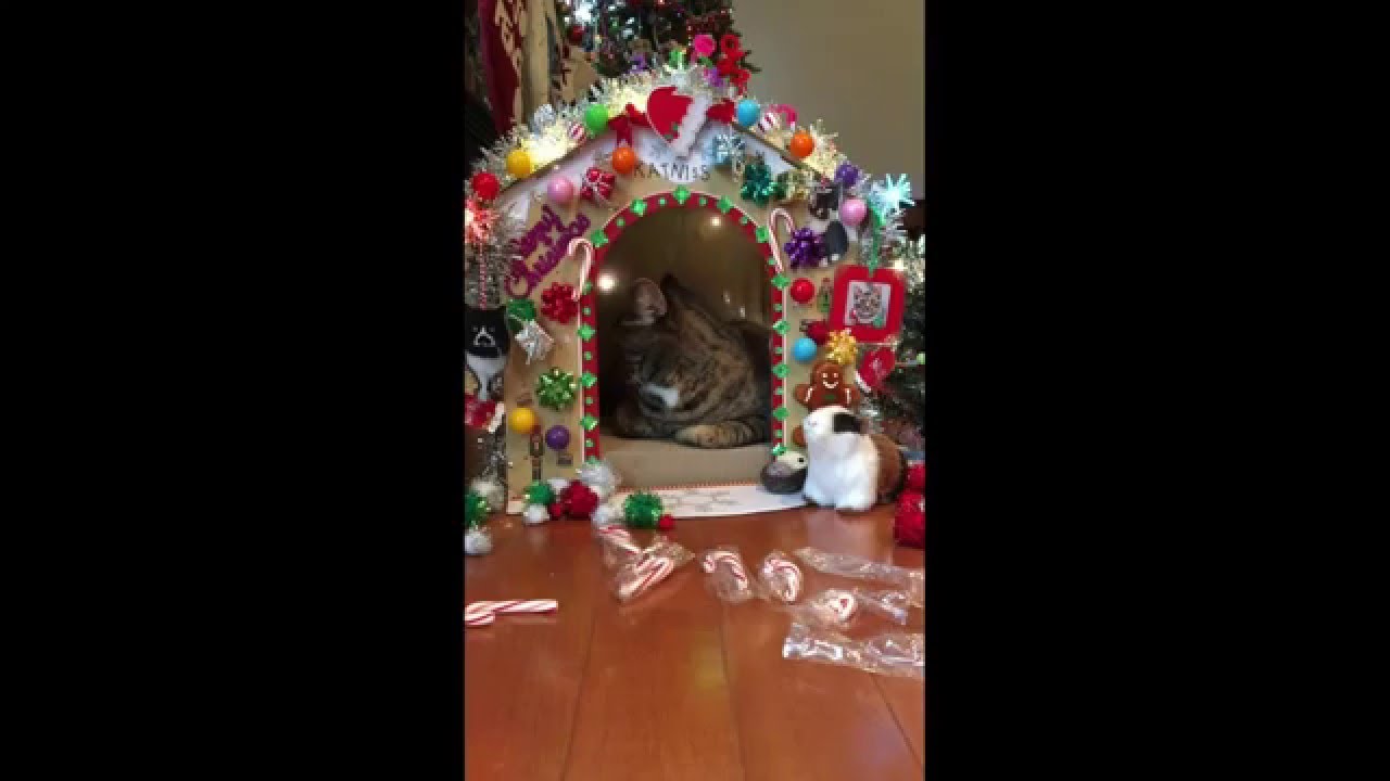 It the Most Wonderfully Tacky Time Of The Year