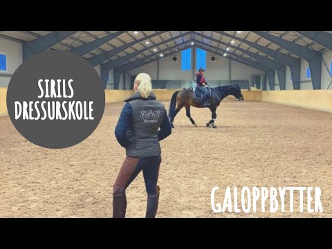 #² 15 Hest360’s dressurskole: Galoppbytter #² 15 Hest360’s dressurskole: Galoppbytter