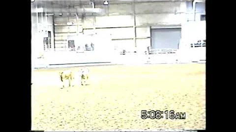 Fred 2nd run at OKC Trials in 2007