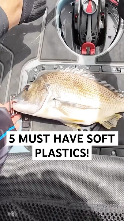 5 MUST HAVE soft plastics for bream