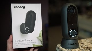 canary flex review 2018