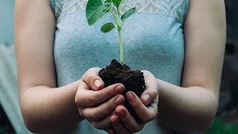 C3 Changemaker Skill: Trust the Change