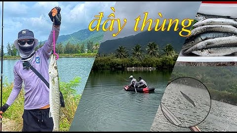 Săn bầy Nhồng quá đã - Lại là con mồi Siêu hút cá | Baracuda Tube Lure | HDT Fishing