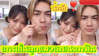 เกาะเป็นลูกแมวเลยนะกามิน ❤️💞 น่ารัก 🧡 🌟🥰 #แน็กชาลี #แน็กแฟนฉัน #กามิน