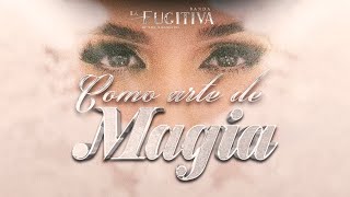 Video thumbnail of "Como Arte De Magia (VIDEO OFICIAL) - La Fugitiva De Mike Miramontes"