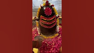Mahakal Aarti #status #whatsapp Mahadev #mandir #Bholenath #shankar #shiv #harharmahadev #mahadev