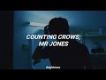 Counting crows; Mr jones [traducida al español]