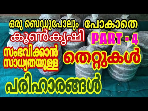 Mushroom Cultivation without damaging even one bed/ഒരു ബെഡ്ഡുപോലും പോകാതെ കൂൺകൃഷി.. Part - 4.